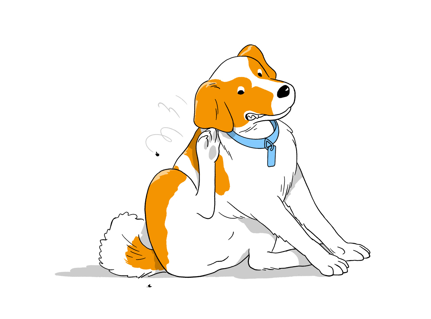 Elements #42:
Symbiosis - War and Peace - Image 2a